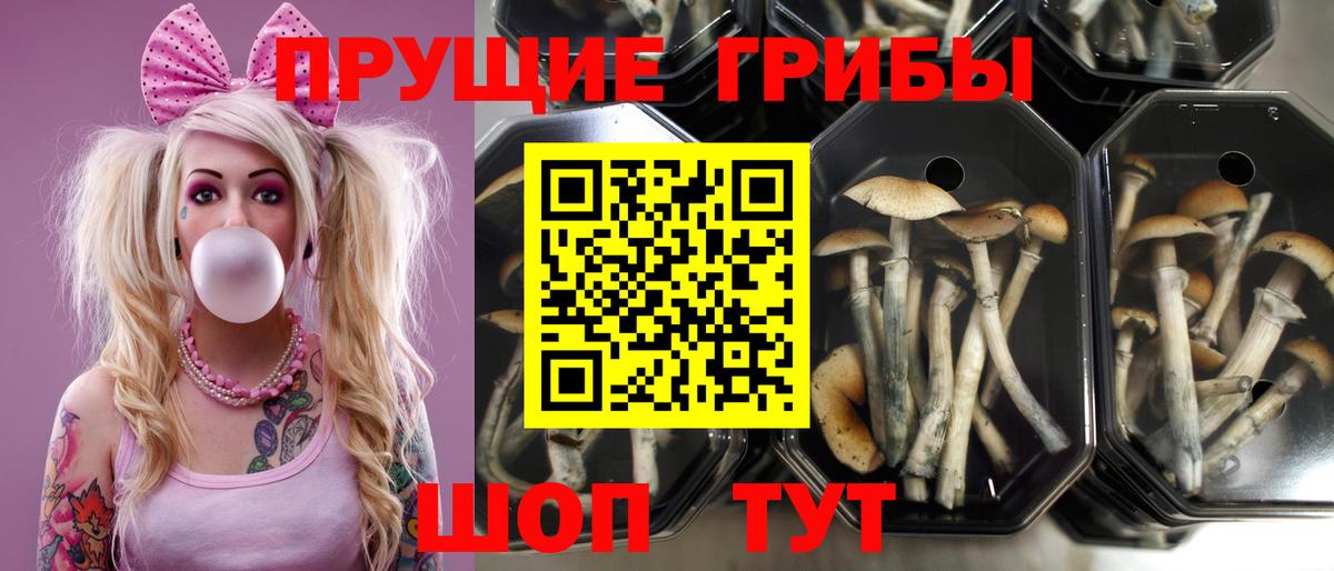 Галлюциногенные грибы мицелий  Вход с VPN  где продают   Уварово 